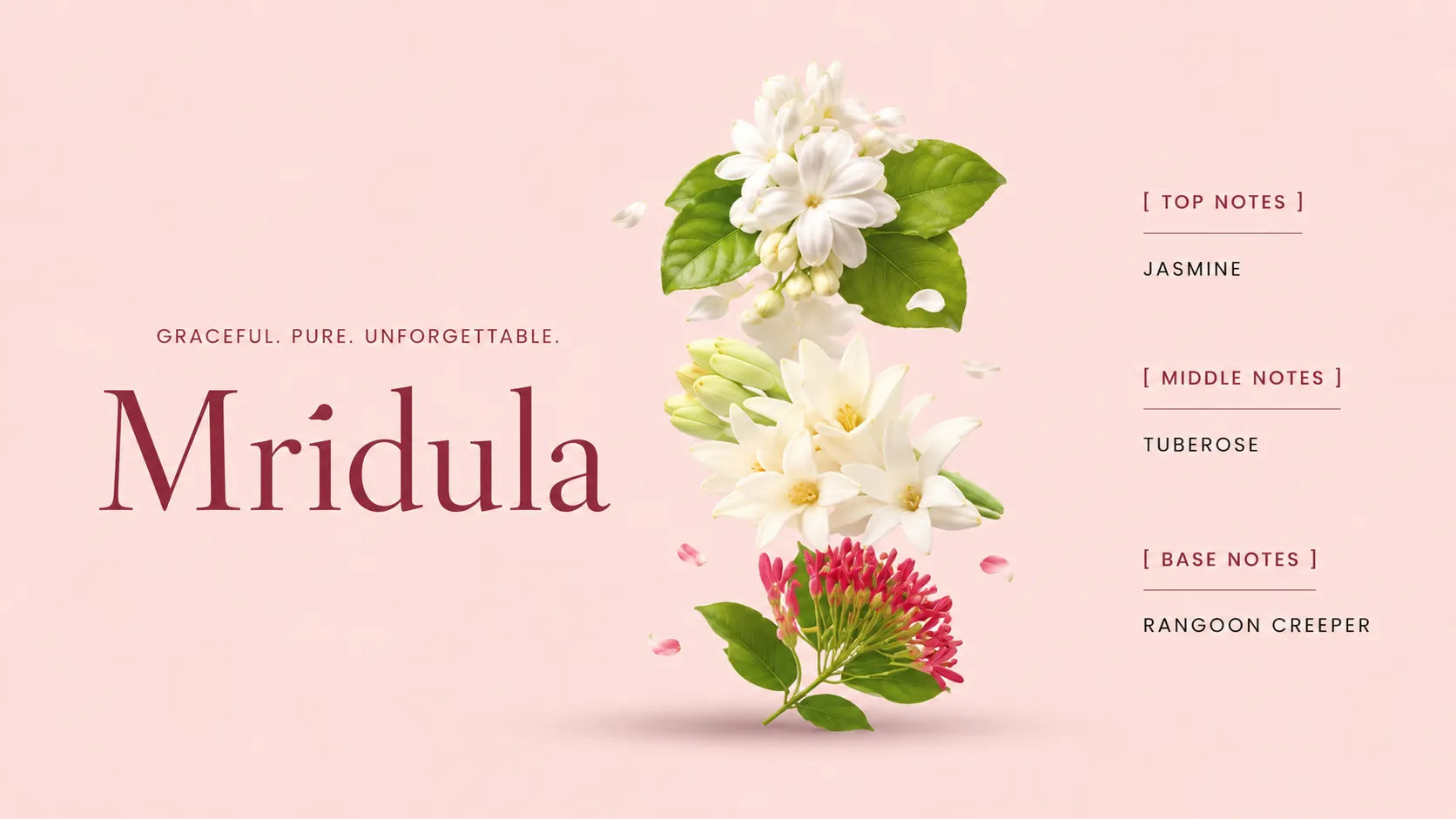 Mridula fragrance notes
