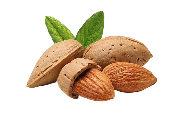 Almond