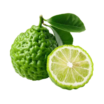 Bergamot