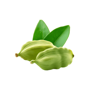 Cardamom