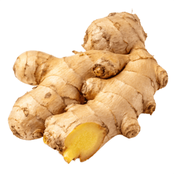 Ginger