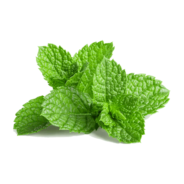 Mint