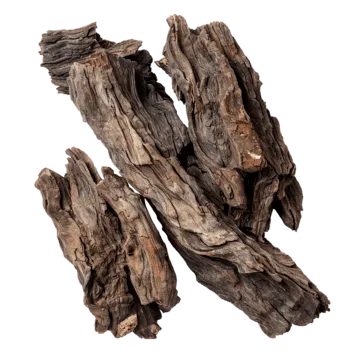 Rich oud