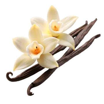 Vanilla