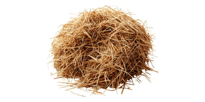 Vetiver