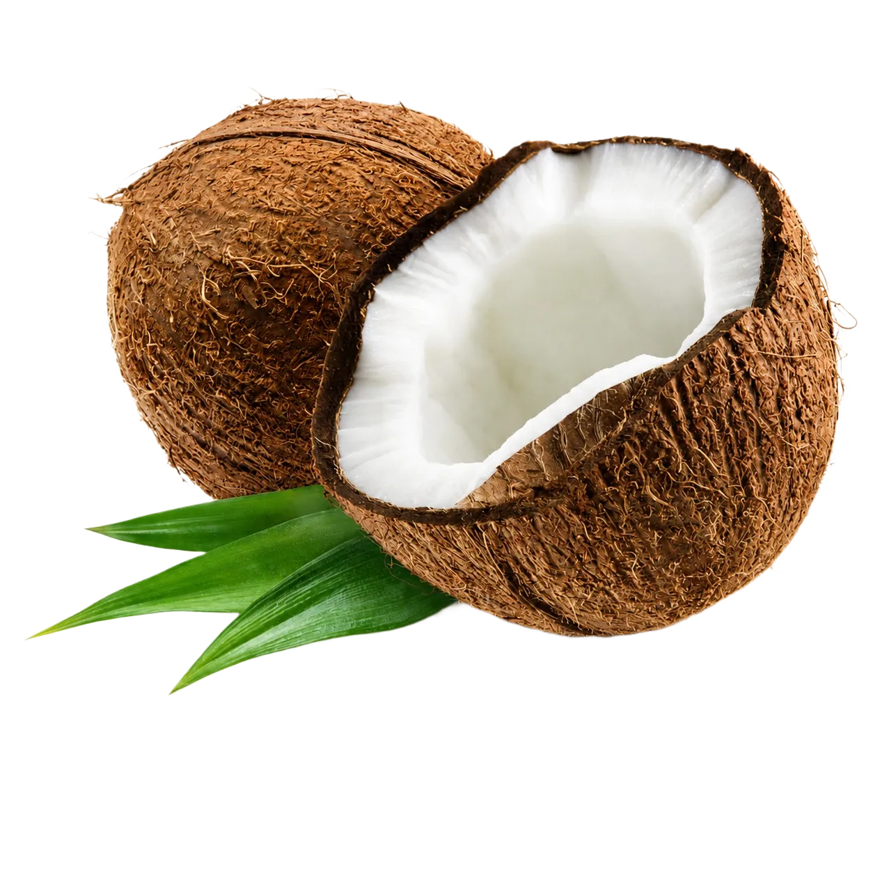 Creamy coconut